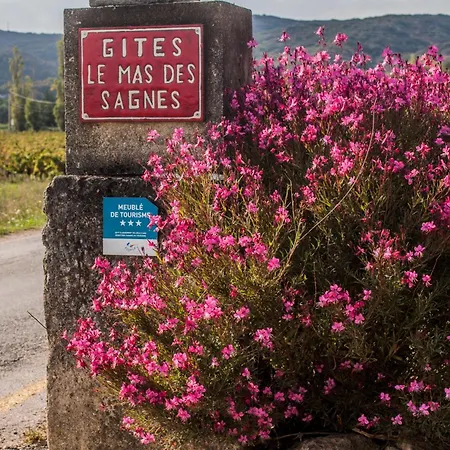 Des Sagnes Collias